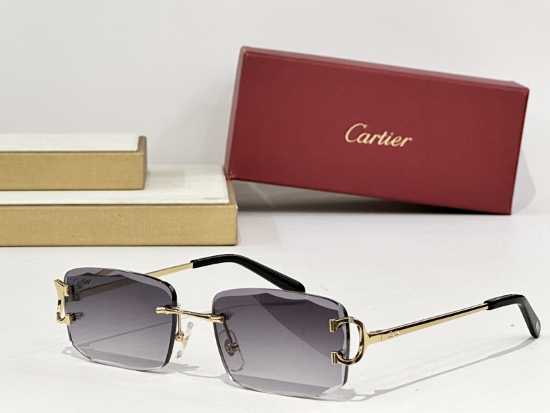 Cartier Glasses 08smh148 (4)
