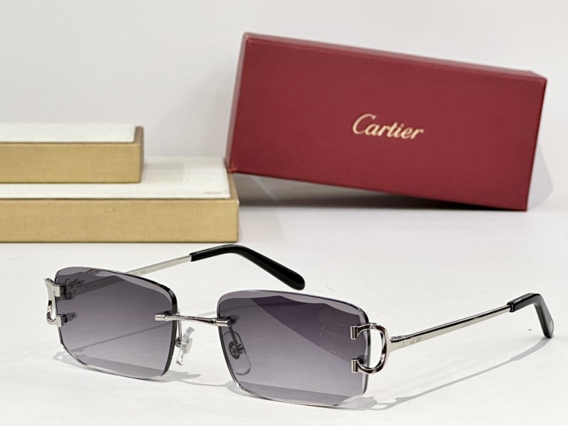 Cartier Glasses 08smh148 (5)