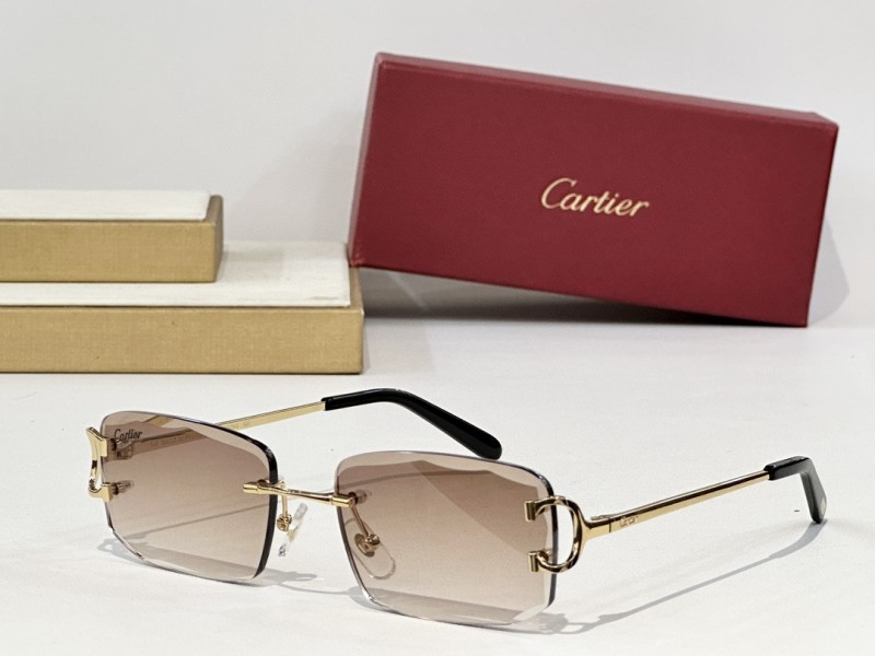 Cartier Glasses 08smh148 (6)