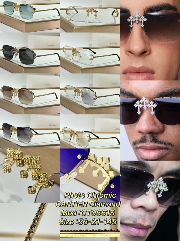 Cartier Glasses 08smh149 (10)