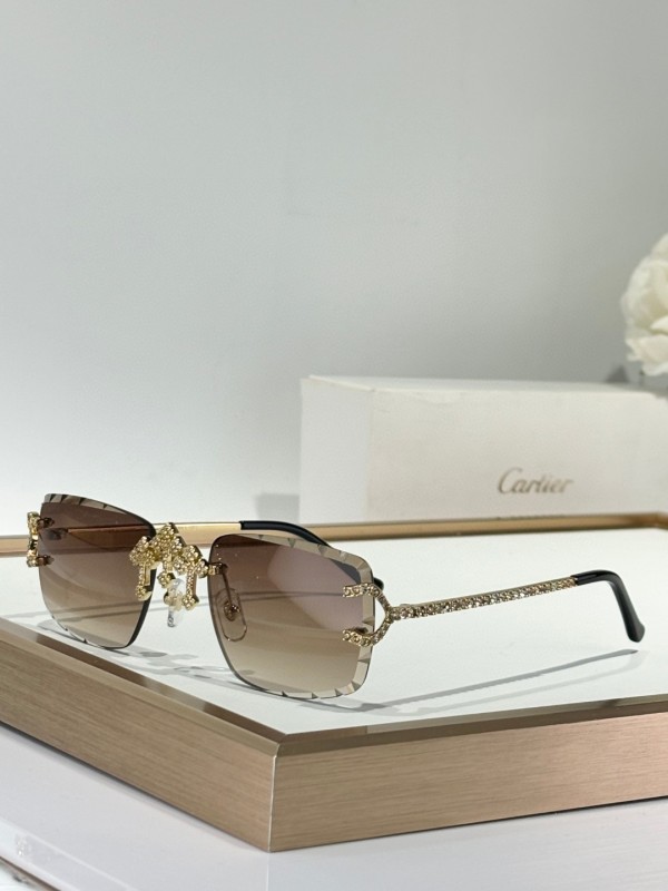 Cartier Glasses 08smh149 (3)