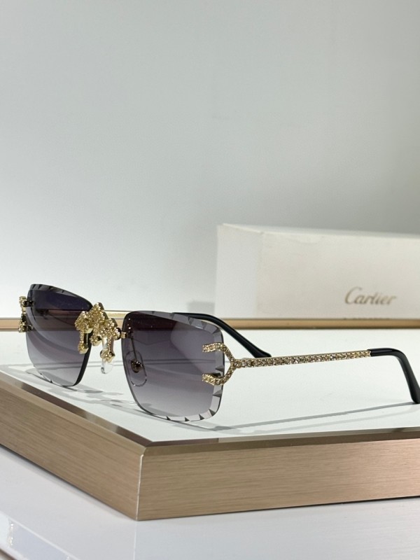 Cartier Glasses 08smh149 (4)