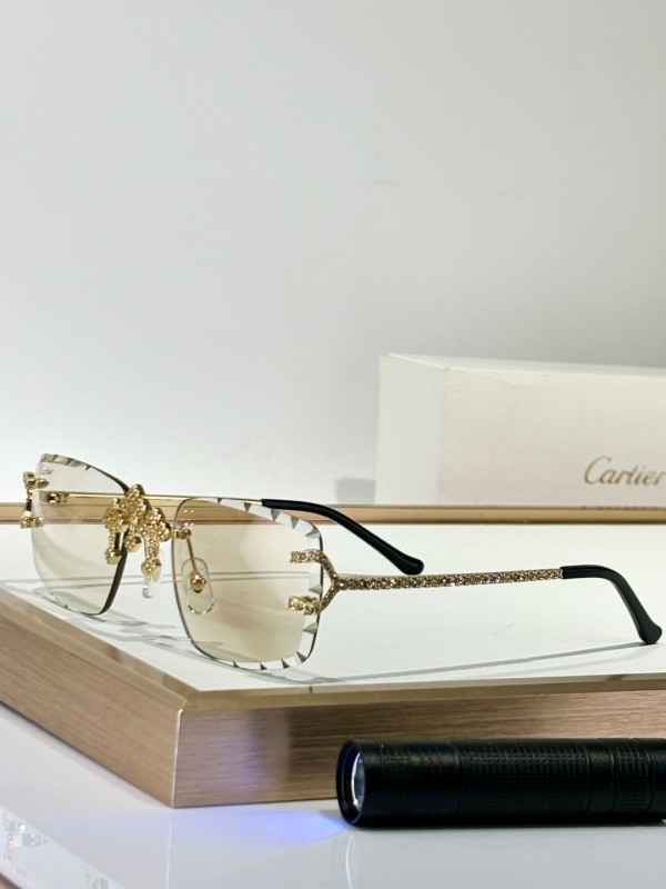 Cartier Glasses 08smh149 (6)