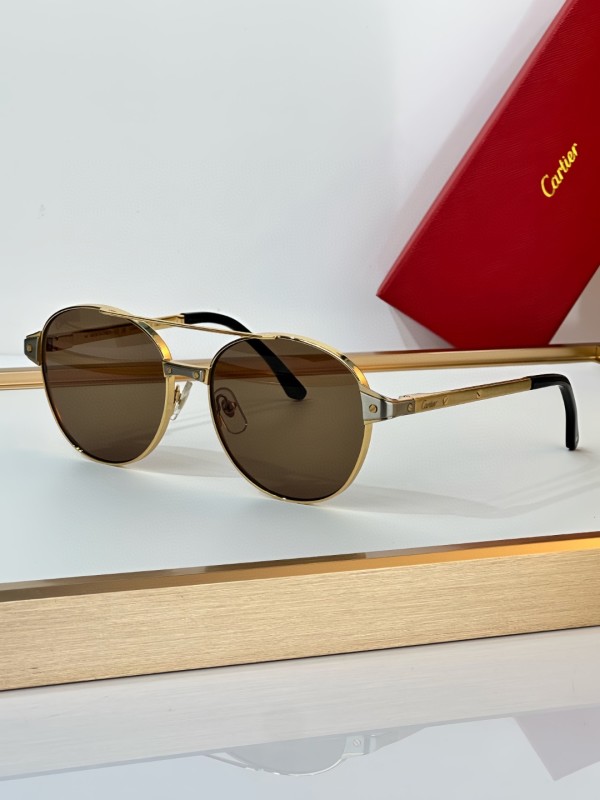 Cartier Glasses 08smh15 (4)