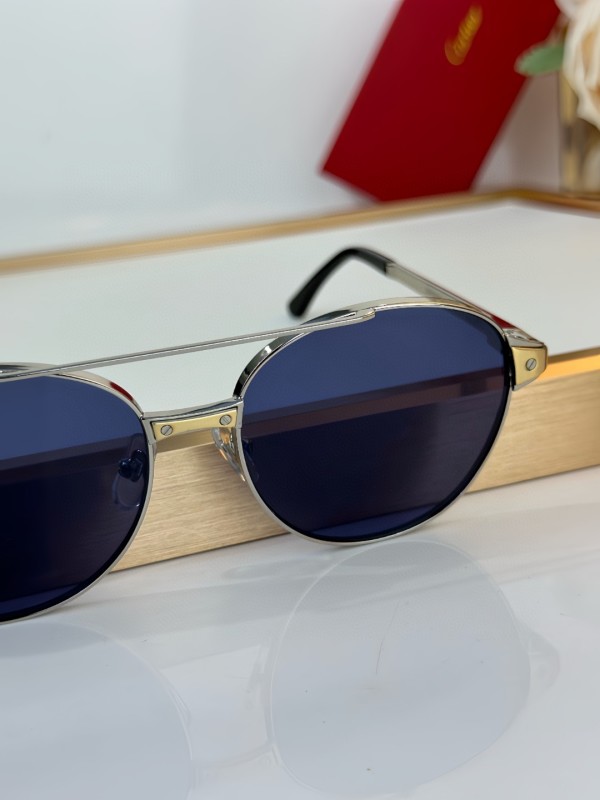 Cartier Glasses 08smh15 (6)