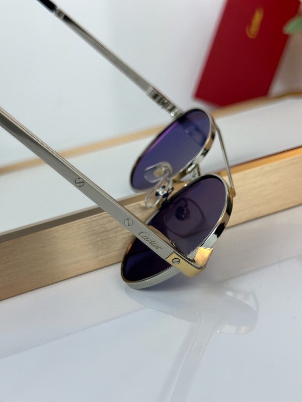 Cartier Glasses 08smh15 (7)