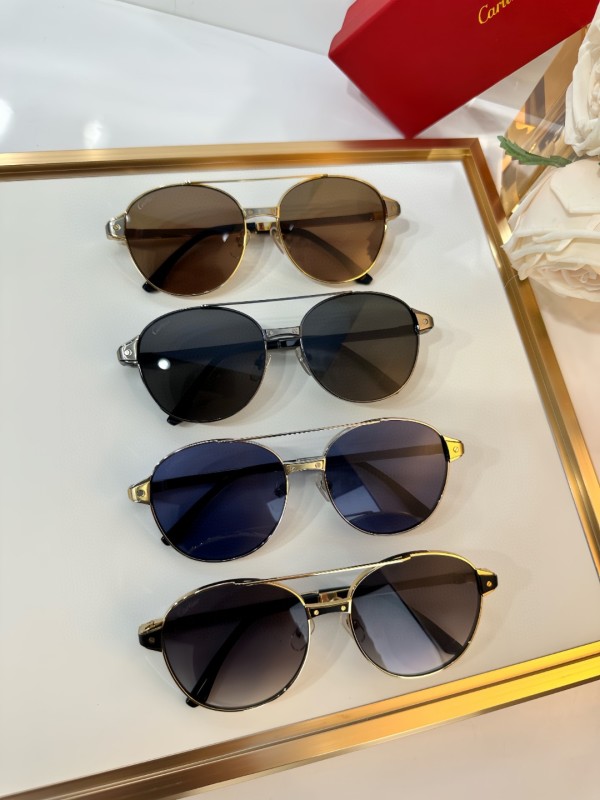 Cartier Glasses 08smh15 (9)