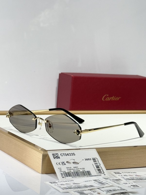 Cartier Glasses 08smh150 (4)