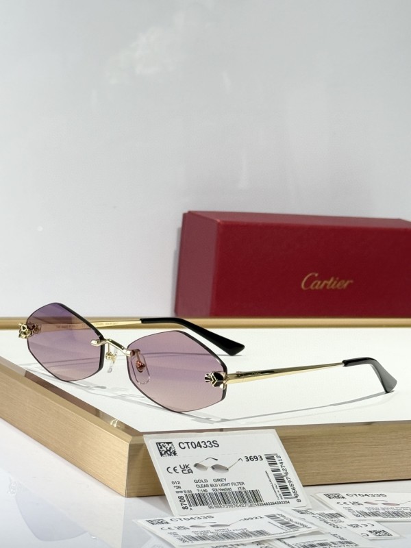 Cartier Glasses 08smh150 (5)