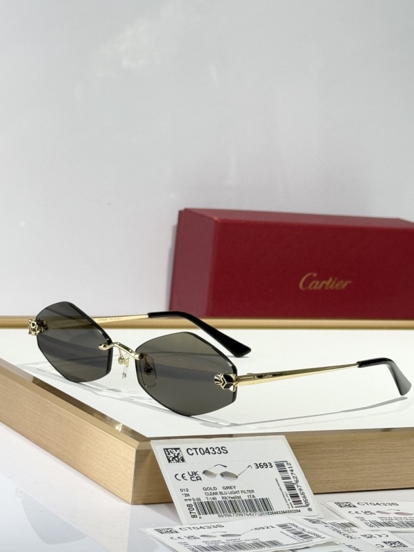 Cartier Glasses 08smh150 (6)
