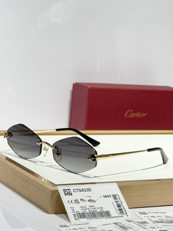 Cartier Glasses 08smh150 (7)