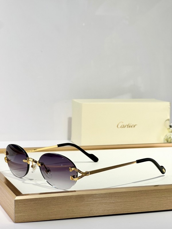 Cartier Glasses 08smh151 (1)
