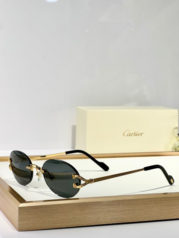 Cartier Glasses 08smh151 (2)