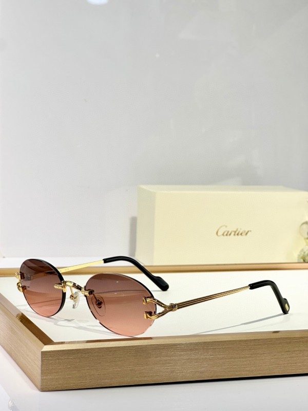 Cartier Glasses 08smh151 (3)