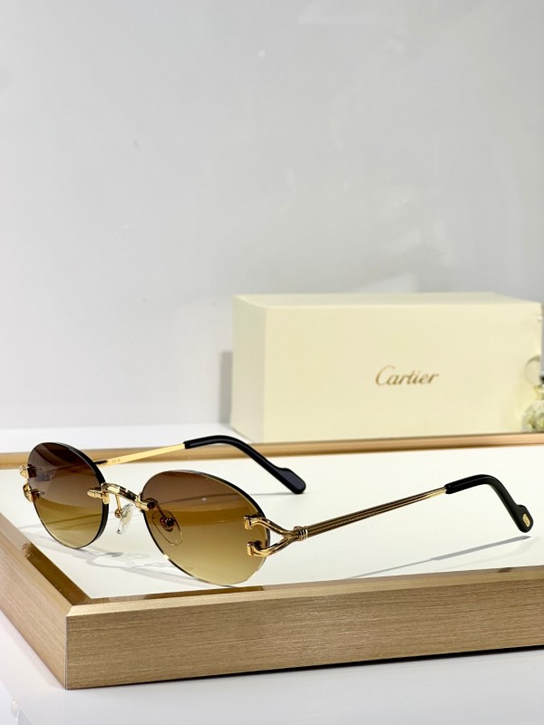 Cartier Glasses 08smh151 (4)