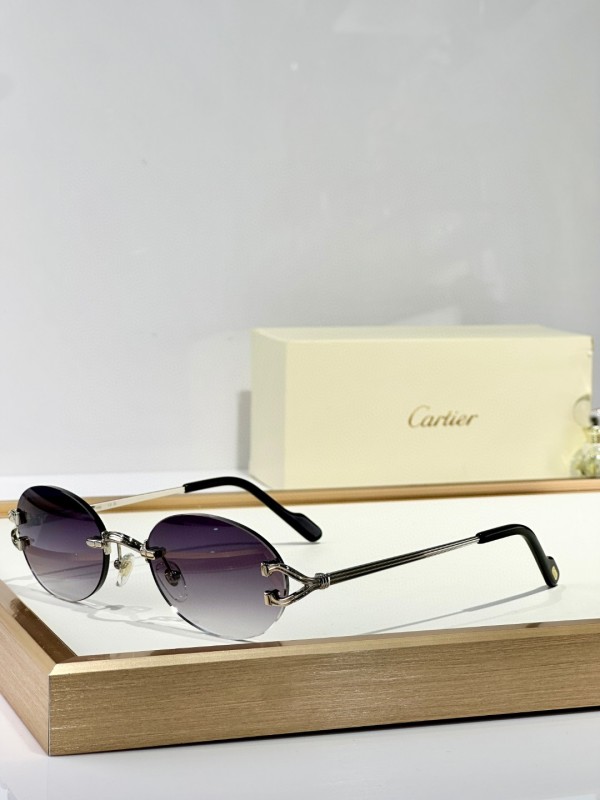 Cartier Glasses 08smh151 (5)
