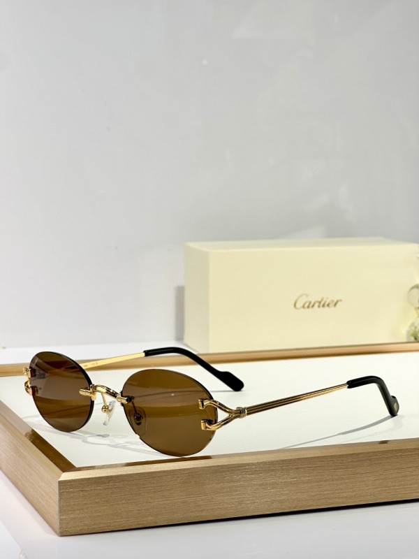 Cartier Glasses 08smh151 (6)