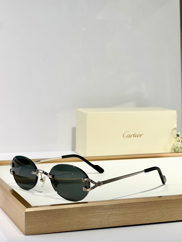 Cartier Glasses 08smh151 (7)