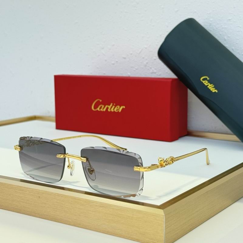 Cartier Glasses 08smh152 (4)