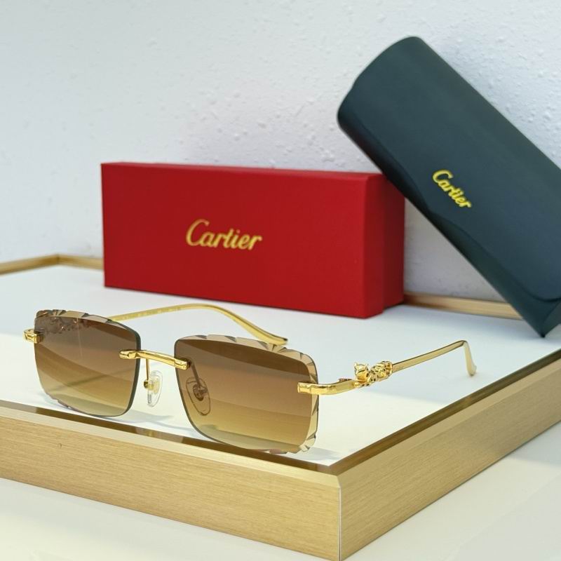 Cartier Glasses 08smh152 (7)