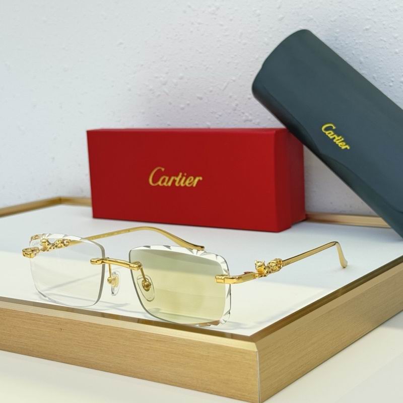 Cartier Glasses 08smh152 (9)