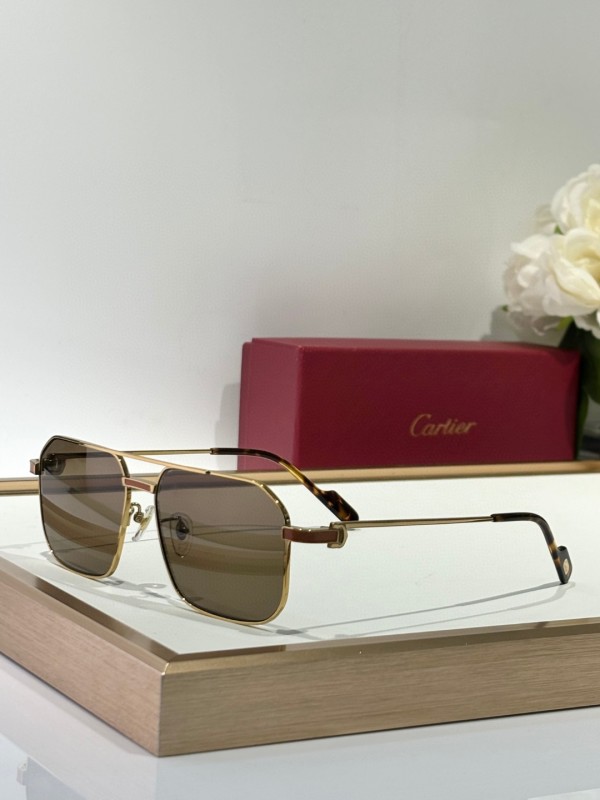 Cartier Glasses 08smh153 (1)