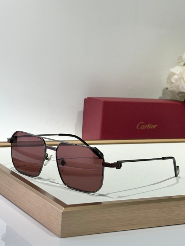 Cartier Glasses 08smh153 (2)