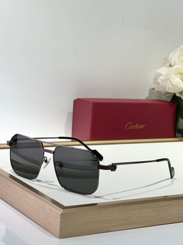 Cartier Glasses 08smh153 (3)