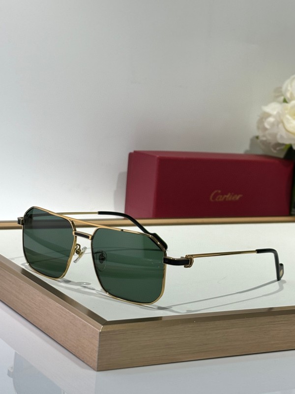 Cartier Glasses 08smh153 (5)