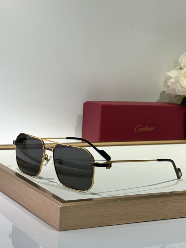 Cartier Glasses 08smh153 (6)