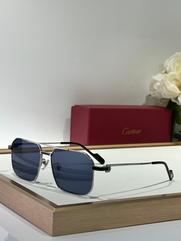 Cartier Glasses 08smh153 (8)