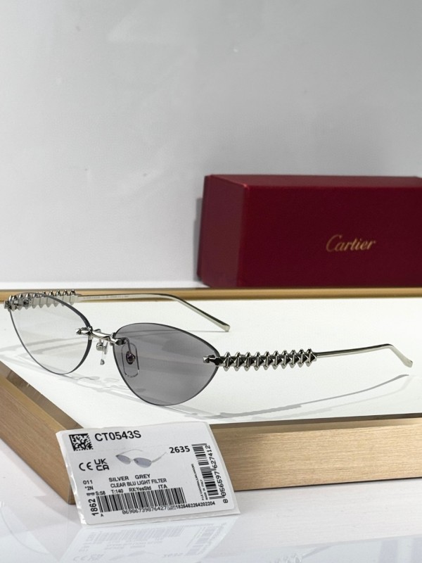 Cartier Glasses 08smh155 (3)