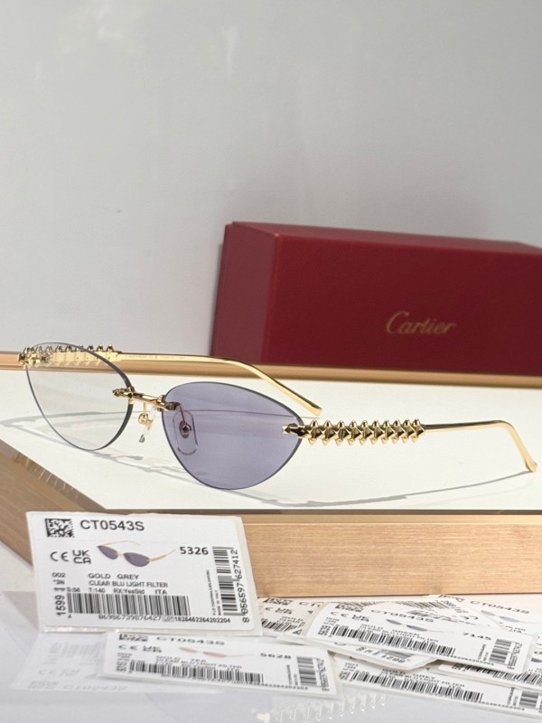 Cartier Glasses 08smh155 (5)