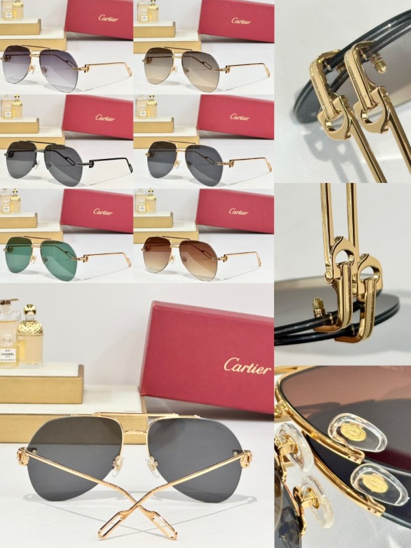 Cartier Glasses 08smh156 (10)