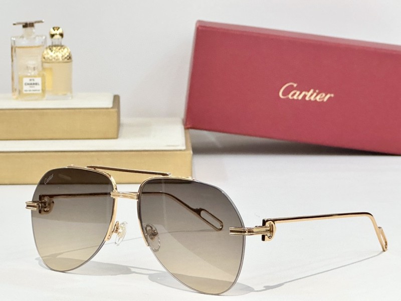 Cartier Glasses 08smh156 (4)