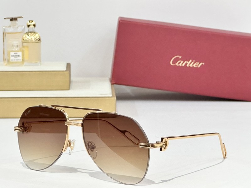 Cartier Glasses 08smh156 (5)