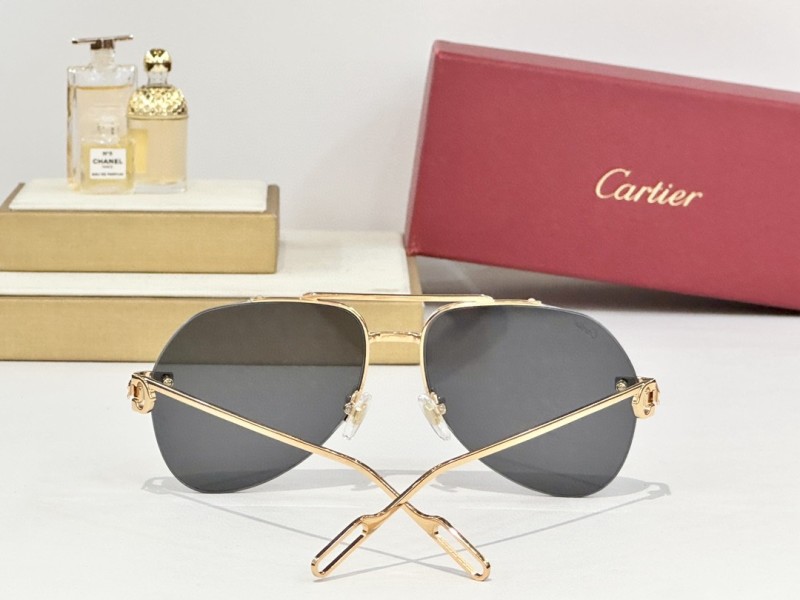 Cartier Glasses 08smh156 (7)