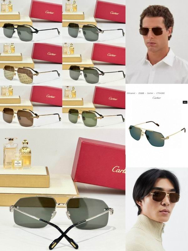 Cartier Glasses 08smh157 (10)