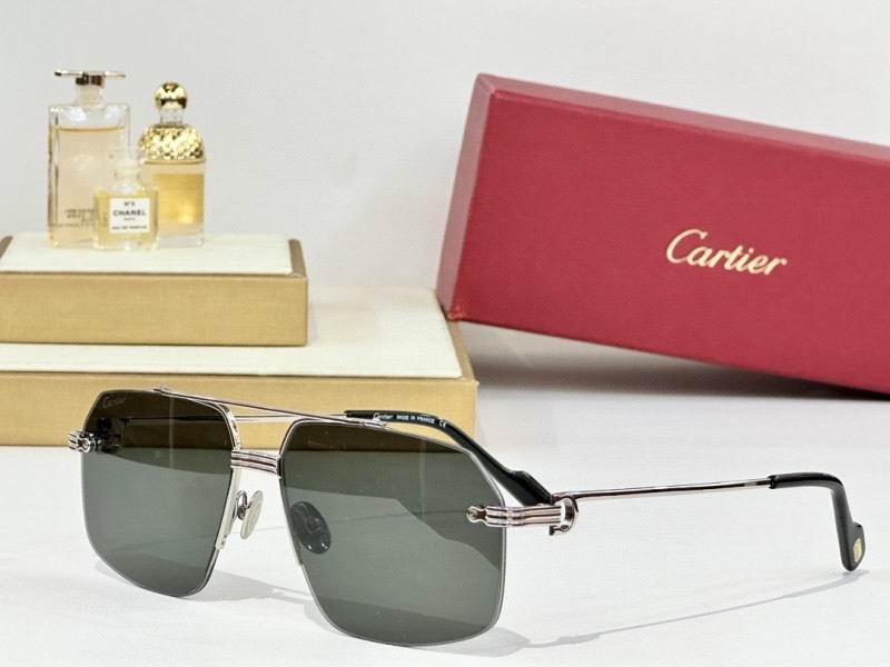 Cartier Glasses 08smh157 (6)