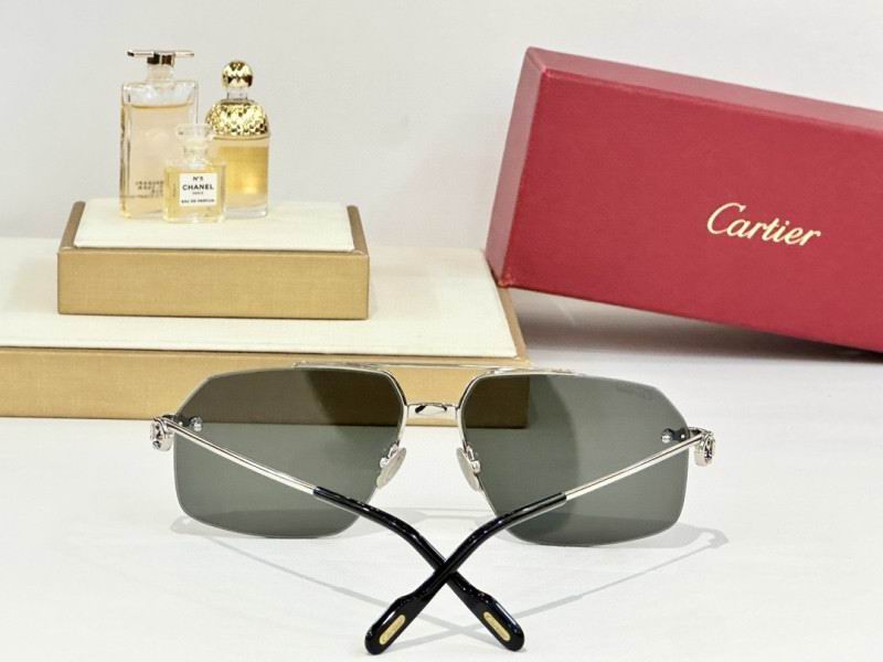 Cartier Glasses 08smh157 (7)