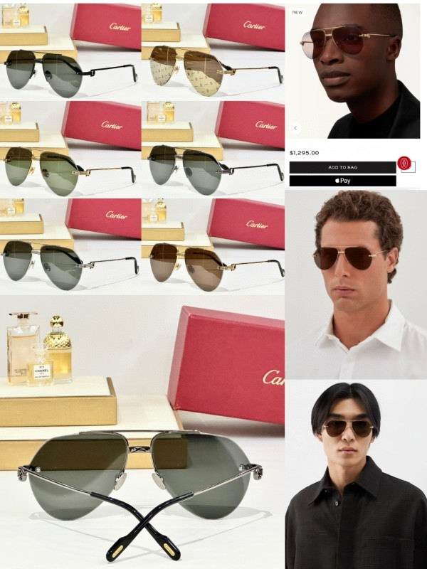 Cartier Glasses 08smh158 (10)