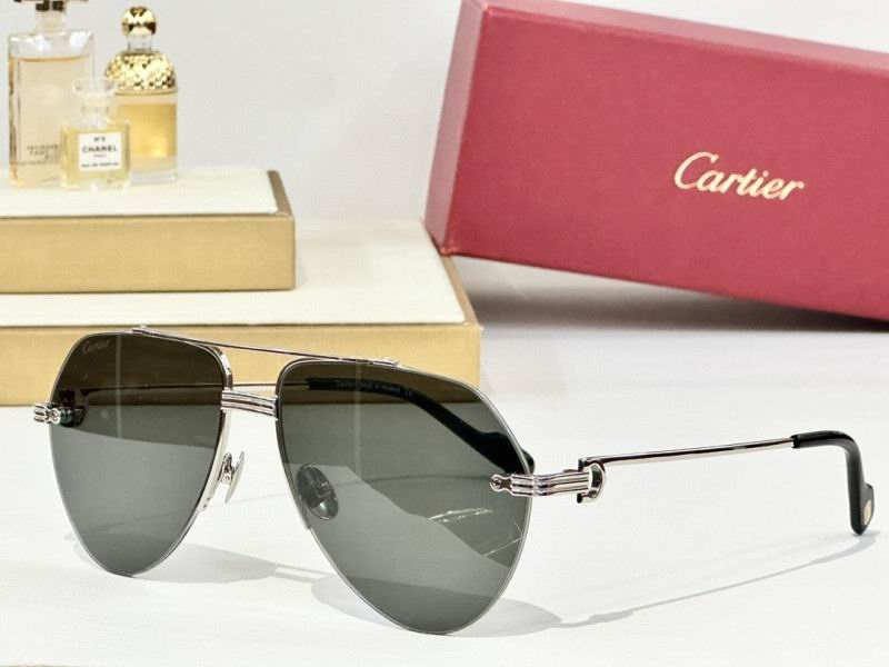 Cartier Glasses 08smh158 (2)