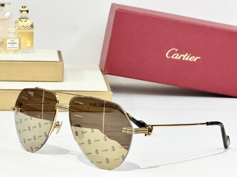 Cartier Glasses 08smh158 (4)