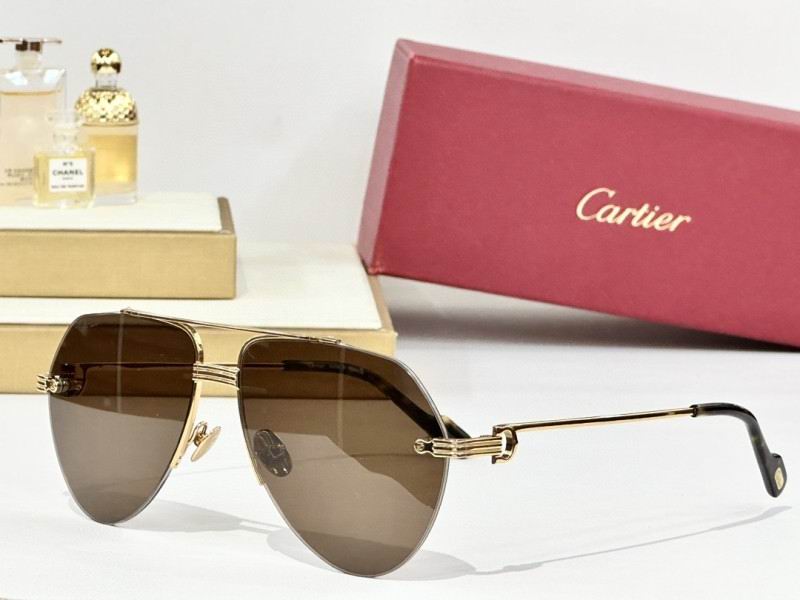 Cartier Glasses 08smh158 (5)