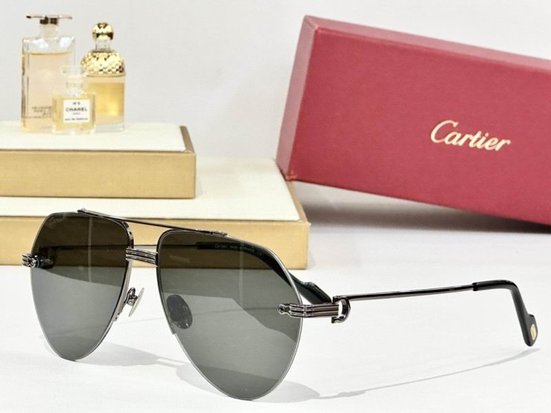 Cartier Glasses 08smh158 (6)