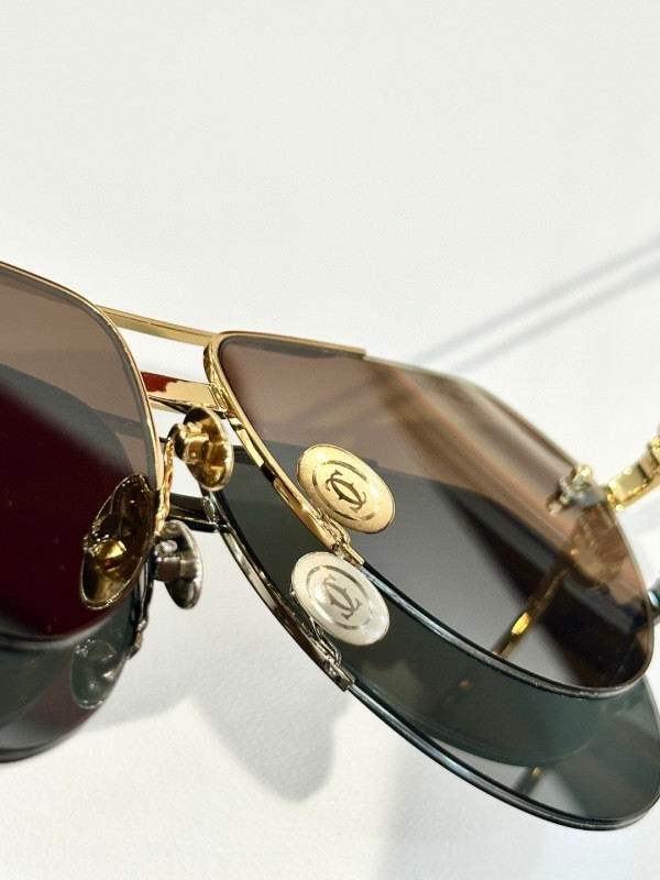 Cartier Glasses 08smh158 (9)