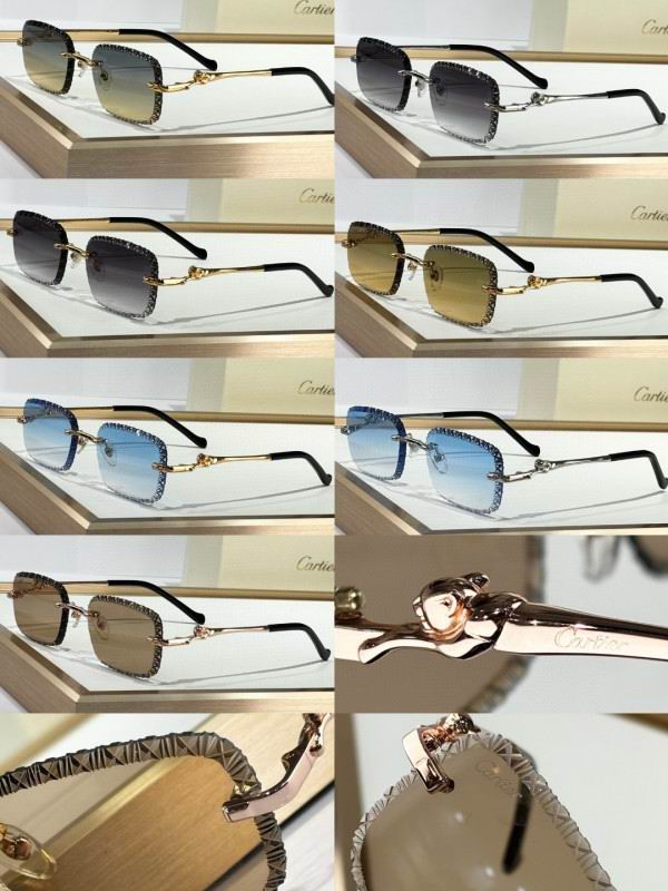 Cartier Glasses 08smh159 (10)