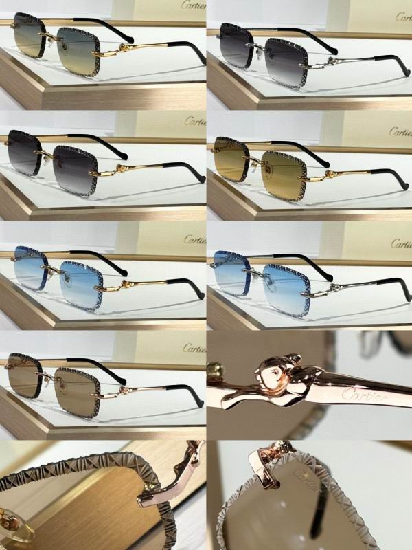 Cartier Glasses 08smh159 (11)
