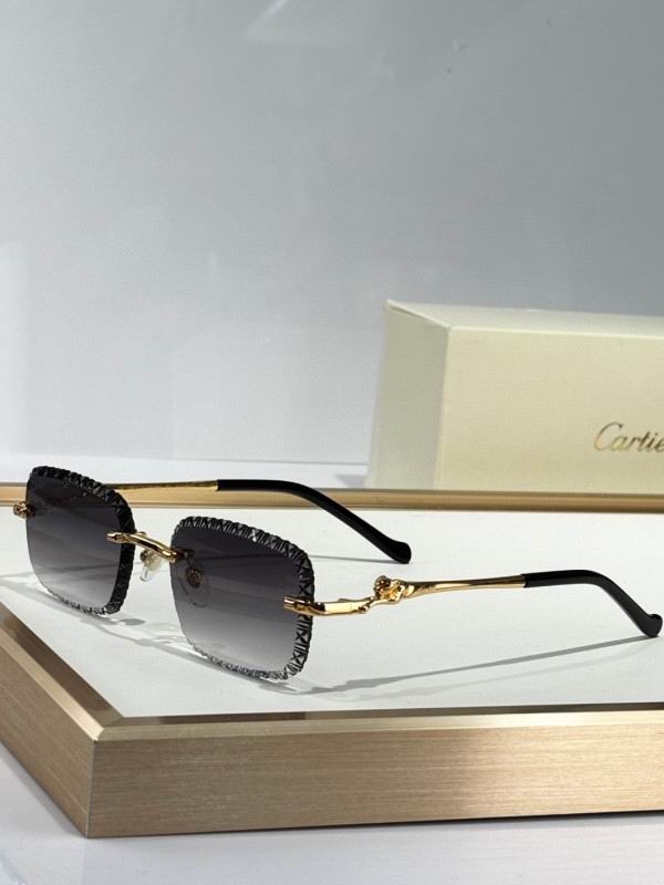 Cartier Glasses 08smh159 (2)