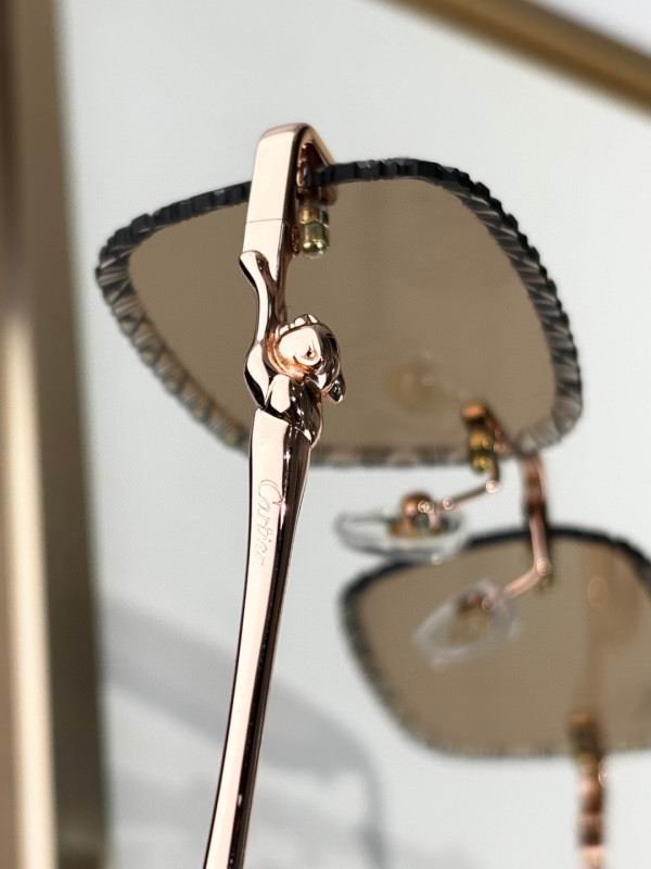 Cartier Glasses 08smh159 (9)